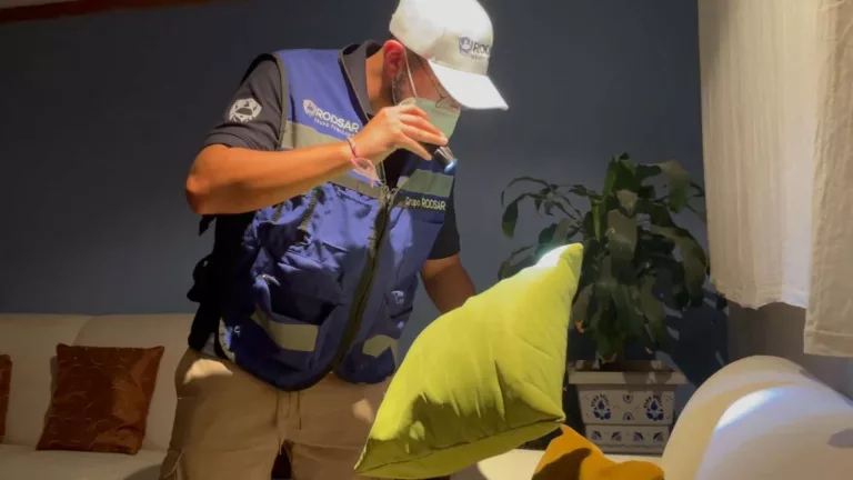 Inspeccion de fumigacion en Puebla