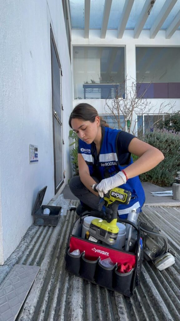 Expertos eliminando roedores