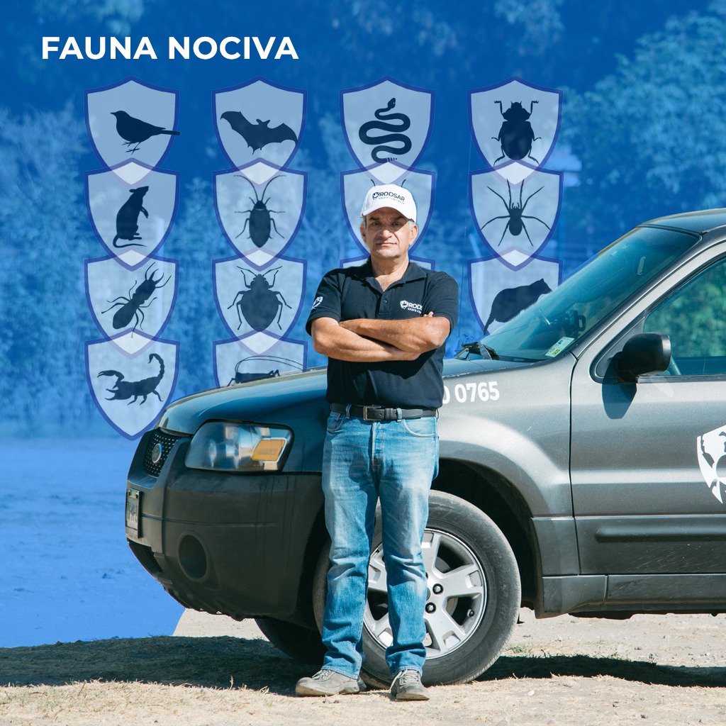 Fauna Nociva