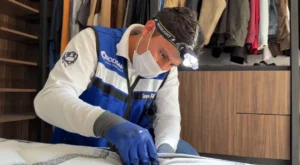 Inspección de chinches de cama en Puebla