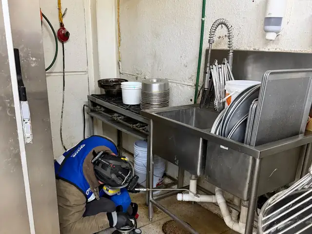 Fumigación de cocina comercial en restaurante de Puebla