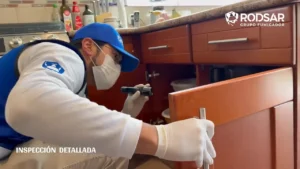 Inspección detallada para fumigación de cucarachas en cocina, Puebla