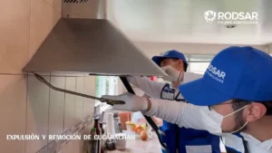 Aplicación de gel para cucarachas en cocina de Puebla
