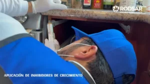 Tratamiento contra cucaracha alemana en Puebla