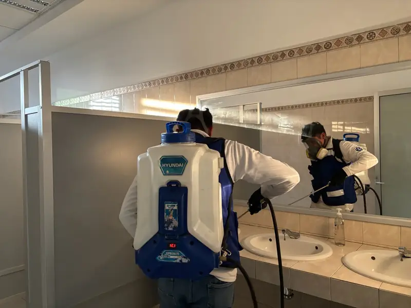 Servicio de fumigación a domicilio en Puebla