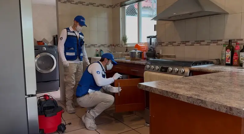 Fumigación residencial en casa de Puebla