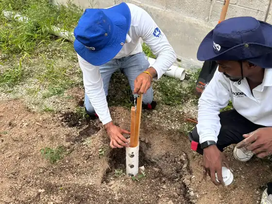 Fumigación de termitas en Puebla